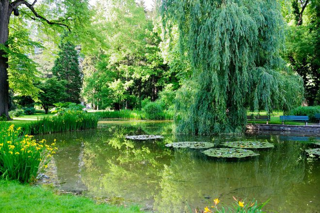 Hofgarten velja za enega najlepših mestnih parkov. Foto: Nina Alizada/shutterstock
