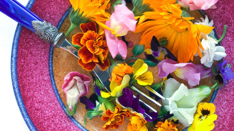 Fotografija: Presenečeni boste, koliko cvetlic je pravzaprav užitnih. Foto: June Marie Sobrito/shutterstock 