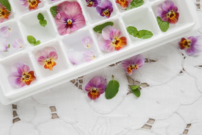 Cvetlice lahko zamrznete v ledene kocke in tako v njih uživate vse leto. Foto: Sewcreamstudio/shutterstock
