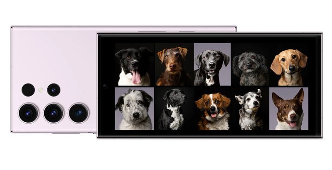 Samsung Galaxy S23 Ultra bo pričaral najlepše in najbolj srčkane fotografije vašega psa. FOTO: Samsung