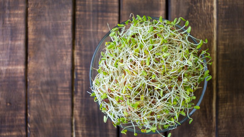 Fotografija: Alfalfa kalčki vsebujejo številne koristne snovi. Foto: Roroto12p/Shutterstock