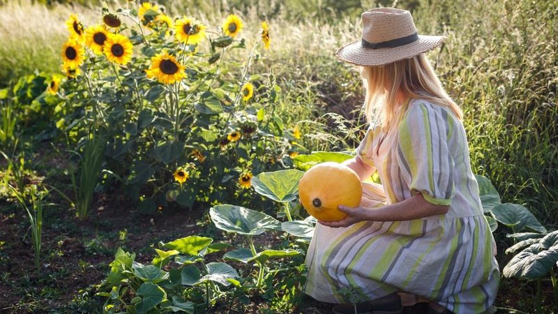 Fotografija: Čas je, da z vrta pospravite še zadnje pridelke. Foto: Shutterstock