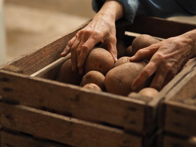 Krompir naj bi shranjevali v temnem in hladnem prostoru. Foto: Shutterstock