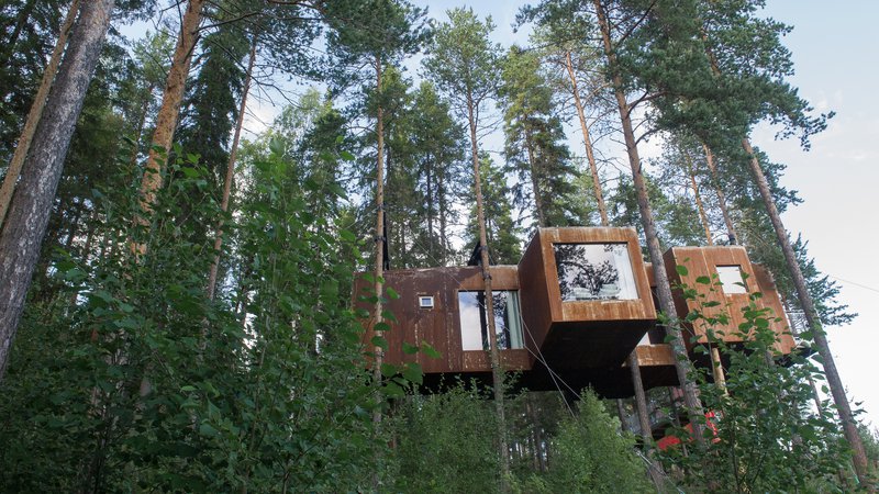 Fotografija: Treehotel, Švedska, foto: O.c Ritz/Shutterstock