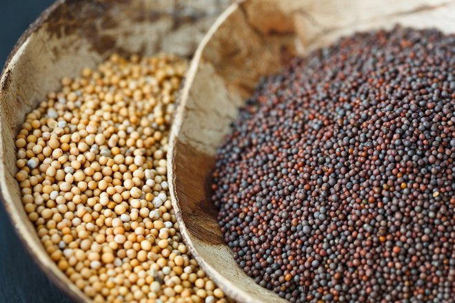 Semena rjave gorčice so najmanjša, medtem ko so semena rumene in črne velika približno enako. Foto: Shutterstock