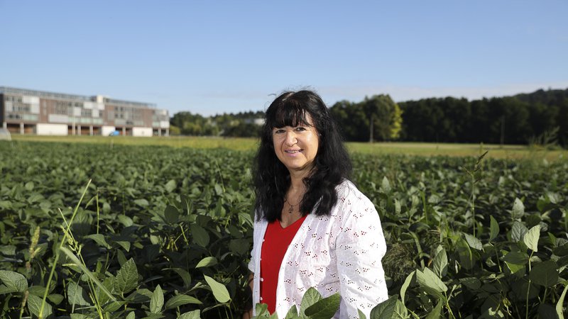 Fotografija: Dr. Darja Kocjan Ačko je predavateljica na biotehniški fakulteti, na oddelku za agronomijo, katedri za fitomedicino, kmetijsko tehniko, poljedelstvo, pašništvo in travništvo. Foto: Jože Suhadolnik