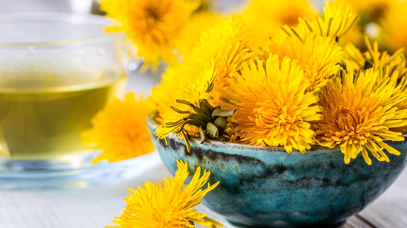 Fotografija: Regratovi cvetovi so kot pomanjšana sonca, v sebi pa skrivajo veliko zdravja. Foto: Shutterstock