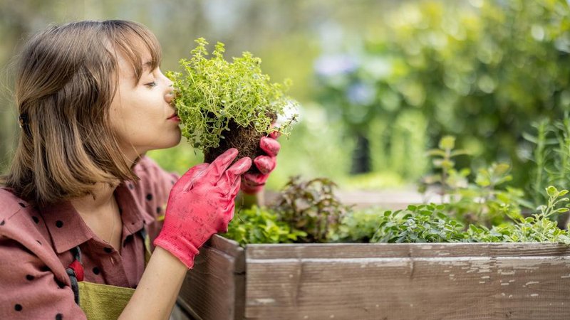Fotografija: Če še niste zasadili vrta, ne skrbite, veliko zelenjave lahko sadimo tudi sredi maja. Foto: Shutterstock