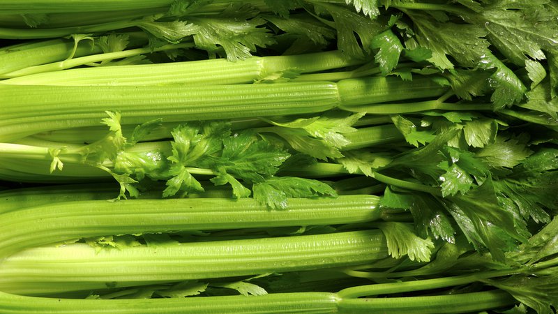 Fotografija: Zelena je bogata s hranilnimi snovmi. Foto: Shutterstock