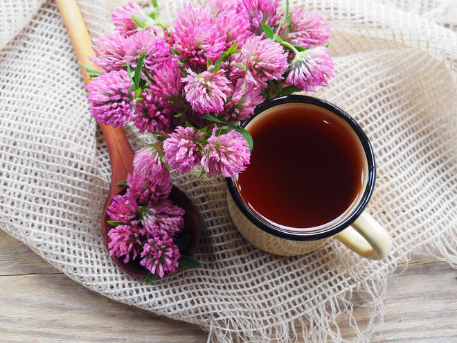 Za lajšanje zdravstvenih težav lahko pijemo čaj, ki ga skuhamo iz svežih ali posušenih cvetov črne detelje. Foto: Shutterstock
