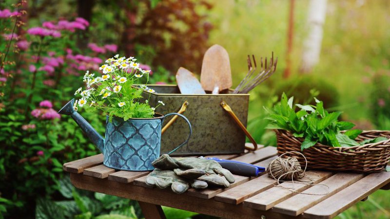 Fotografija: Bolje založene vrtnarije imajo vse poletje lepe zasaditve, ki so v polnem cvetju. Foto: Maria Evseyeva/Shutterstock