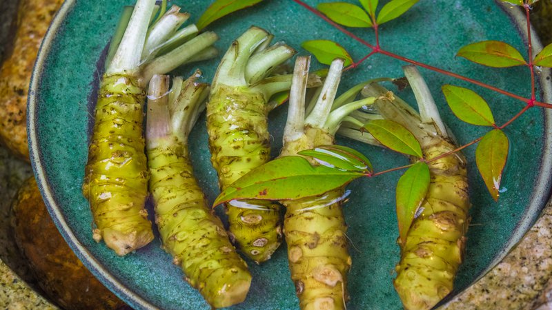 Fotografija: Pravi wasabi naj bi imel celo protirakav učinek. Foto: Shutterstock