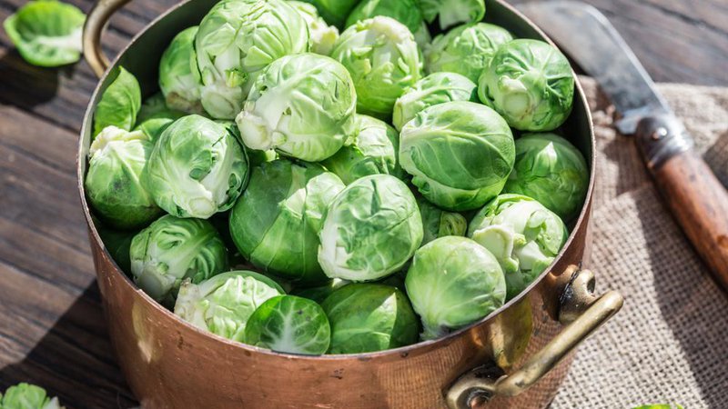 Fotografija: Brstični ohrovt v sebi skriva žveplove spojine glukozinolate, za katere znanstveniki verjamejo, da preprečujejo nastanek raka. Foto: Shutterstock