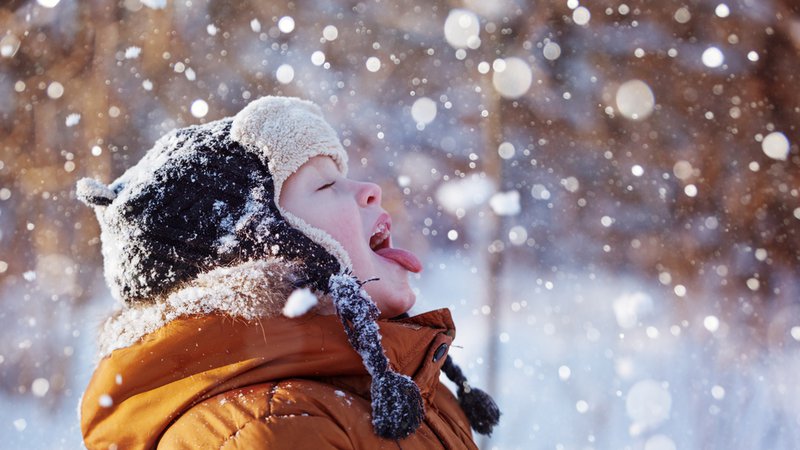 Fotografija: Tyler Roys napoveduje, da bo prva pošiljka snega v nižinah zapadla že zelo kmalu. Foto: Shutterstock