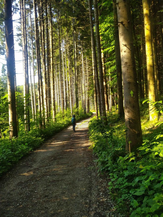 Slovenska Jakobova pot je ena najlepših v Evropi.