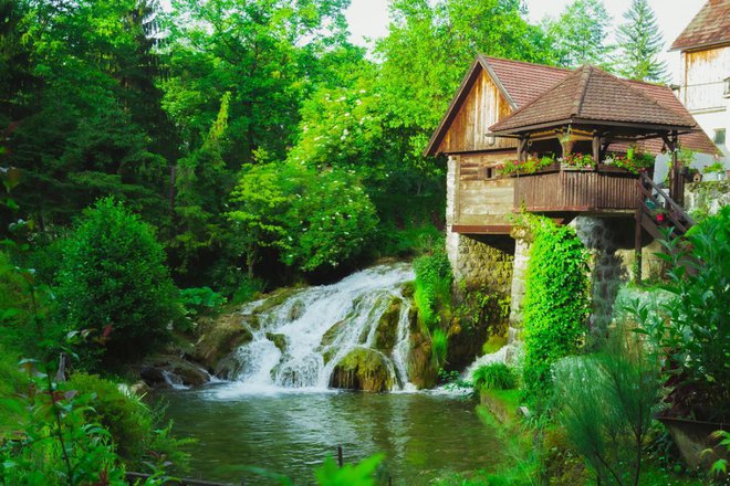 Foto: Svarun/Shutterstock