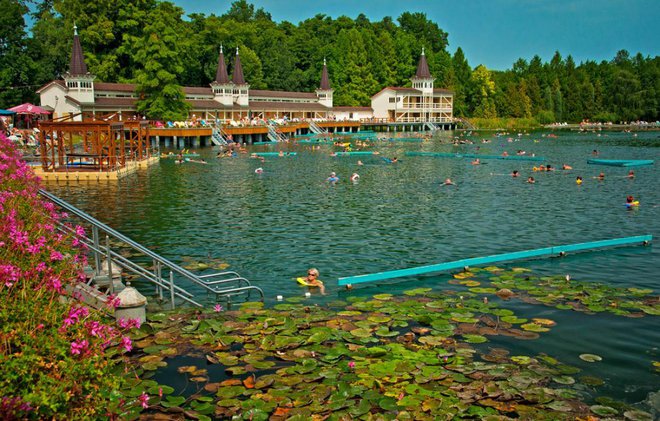 Foto: Botond Horvath/Shutterstock