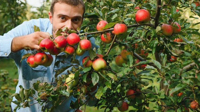 Fotografija: Foto: Hryshchyshen Serhii/Shutterstock