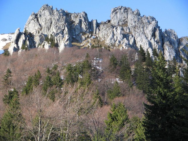 Za nazobčanimi vrhovi se skrivajo travnata pobočja. Foto: Igor Fabjan