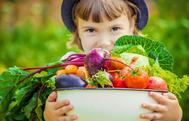 Ni je čez hrano, ki jo pridelamo sami na domačem vrtu. Foto: Tatevosian Yana/Shutterstock