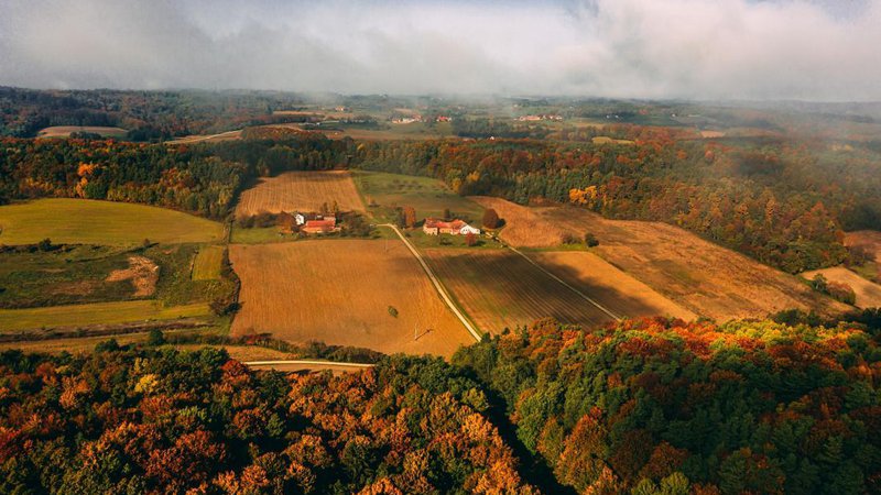 Fotografija: Foto: Tadej Ajlec