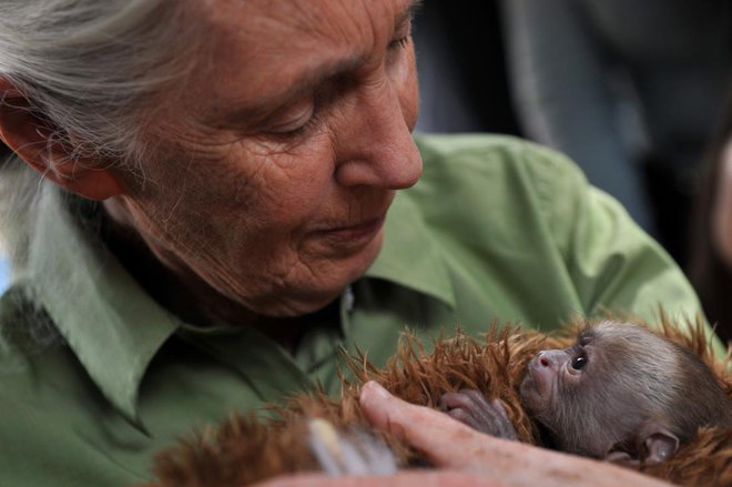 Foto: Hector RETAMAL/AFP