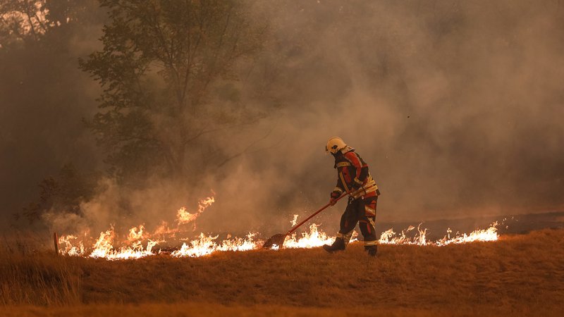 Fotografija: Foto: Črt Piksi/Delo