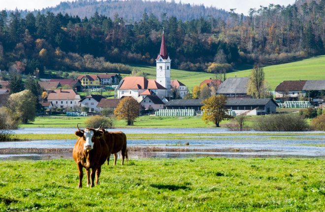 Planina, največje naselje ob Planinskem polju, je najprimernejše izhodišče za raziskovanje kraškega polja. Foto: Stepo Dinaricus/Shutterstock