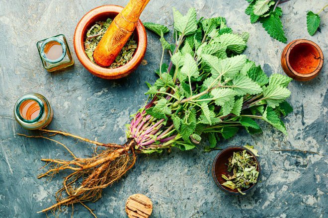Foto: Lunov Mykola/Shutterstock