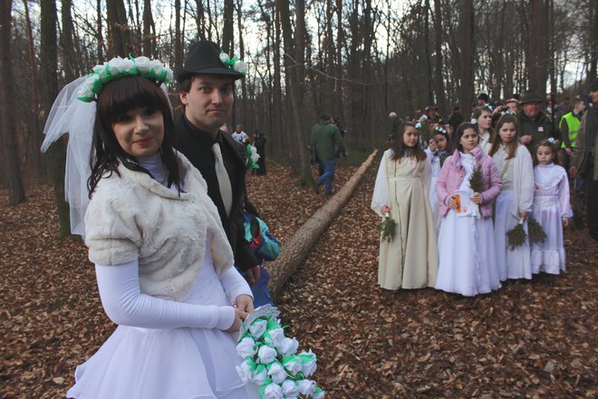 Borovo gostüvanje v Prekmurju je bil nekoč pustni običaj, ki je smešil samske. Foto: Jože Pojbič