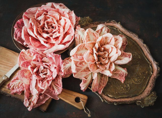 Pastelno rožnata sorta radiča Rosa del Veneto je znana po nežnem sladkem okusu, ki se lepo ujame v solatah v kombinaciji s sadjem. Foto: Shutterstock