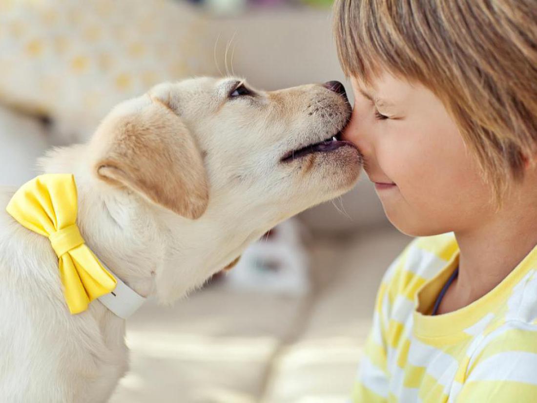 Otrok in pes, harmonično sobivanje