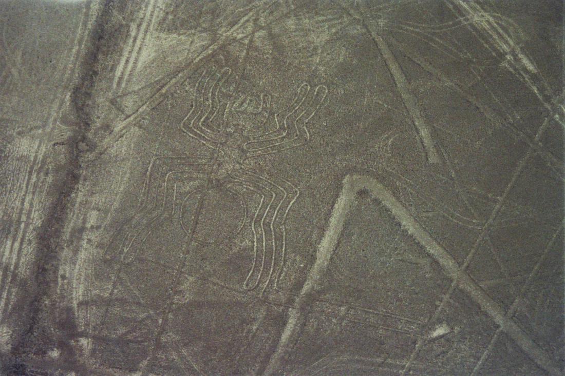 Nazca: jasna puščavska risba – »pajek«, dolg okrog 45 metrov, je iz rodu ricinuleti, ki živi le v Amazonskem pragozdu.