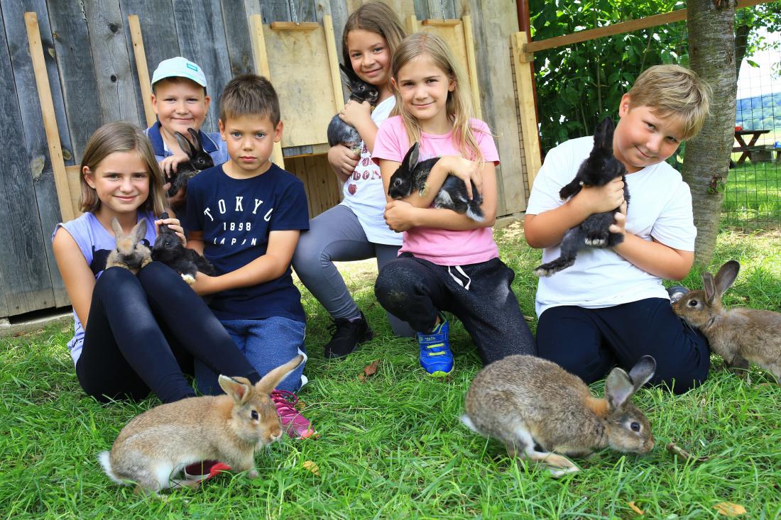 Najmlajši obiskovalci so neskončno uživali v družbi povsem krotkih in radovednih zajčkov.