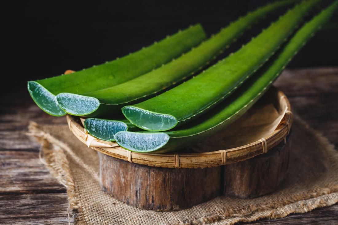 Aloe vera ima močne zdravilne učinke, neverjetno hitro pozdravi denimo tudi modrice. Foto: ThaiThu/Shutterstock