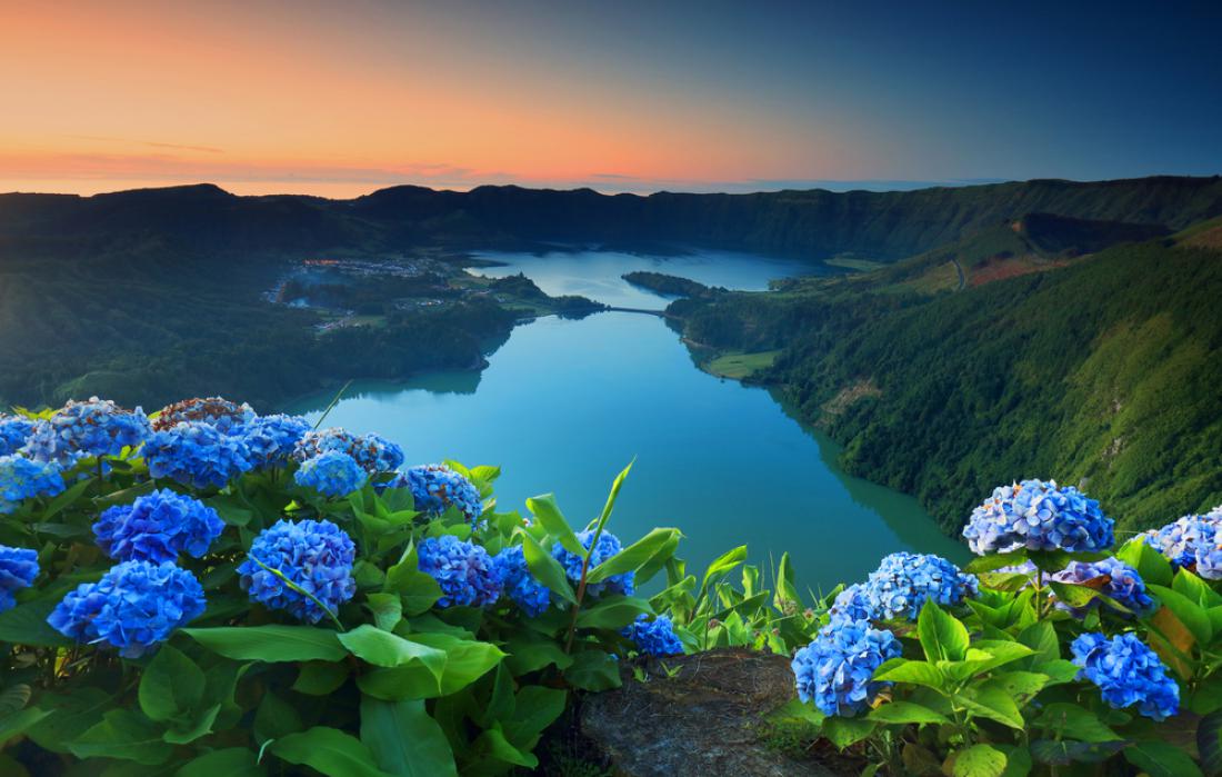 Dolina sedmerih jezer z modrimi hortenzijami, ki čudovito uspevajo po celotnem otoku São Miguel. Foto: Mikadun/Shutterstock