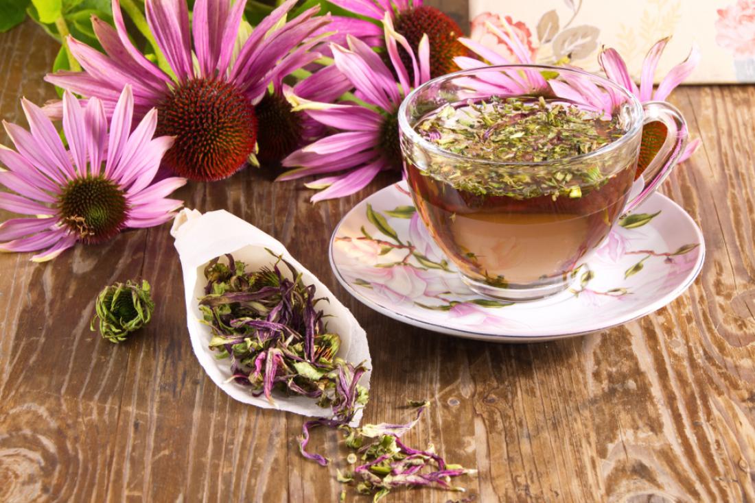 Ameriški slamnik raste na številnih vrtovih, če ga posušimo, lahko uživamo v zdravilnem domačem čaju. Foto: Nataliia Kuznetcova/Shutterstock