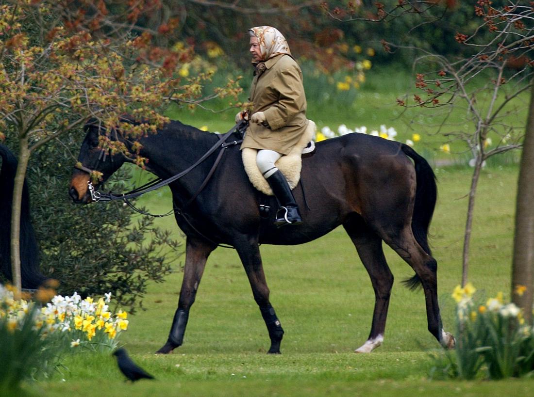 Tudi v visoki starosti se ni odpovedala jahanju svojih priljubljenih konjev. Foto: Dan Chung/Reuters