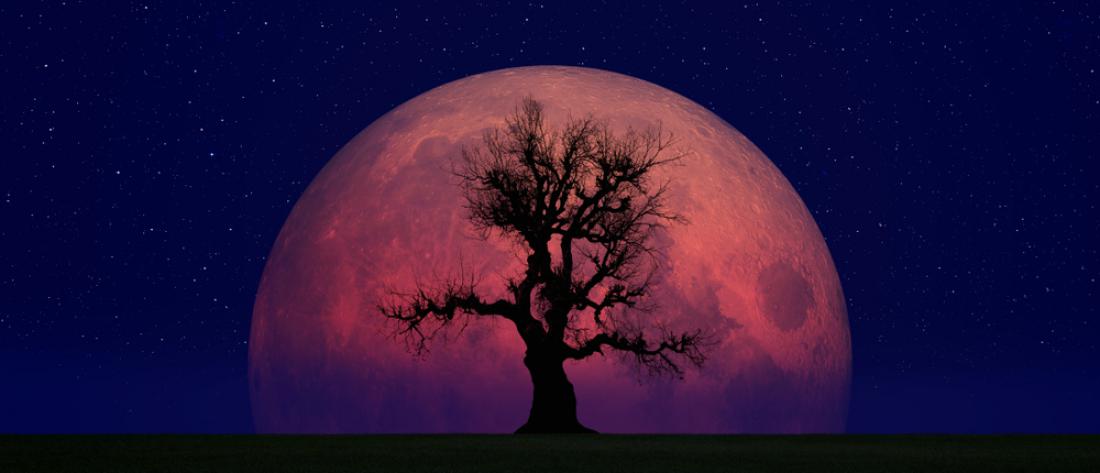V moč lune so verjeli že naši predniki, očitno ni vse iz trte izvito. Foto: muratart/Shutterstock