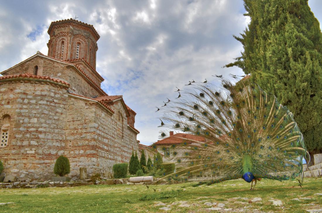 Samostan sv. Naum je znan tudi po pavih, ki se tod prosto sprehajajo. Foto: Pargovski Jove/Shutterstock