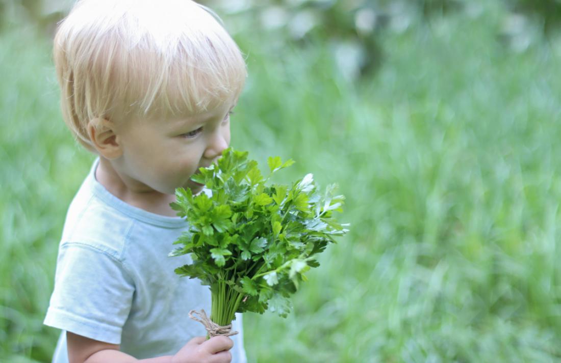 Otroku lahko hrano že popestrite z zelišči, ki bodo imela blagodejni učinek nanj. Foto: Gargonia/Shutterstock