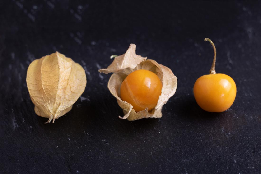 Eksotična rastlina je poznana pod številnimi imeni: perujsko volčje jabolko, perujska češnja, inkovska jagoda ali fizalis. Foto: Xavi Montero/Shutterstock