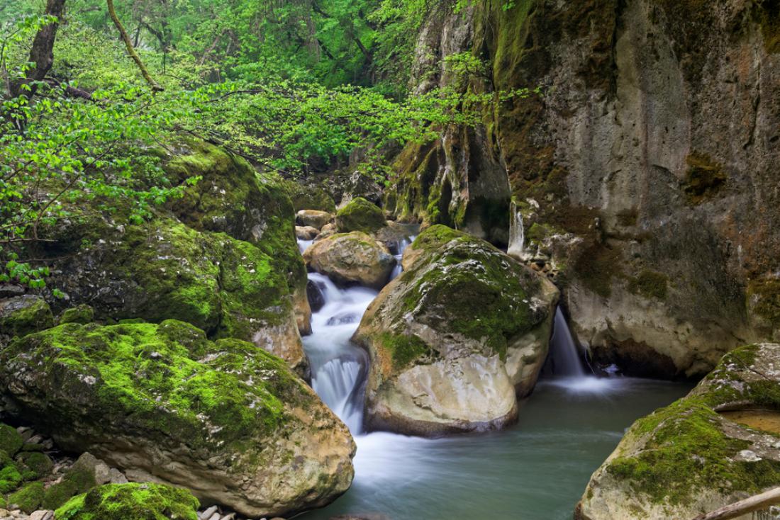 Reka Pazinčica ponikne v Pazinsko jamo. Foto: goran_safarek/Shutterstock