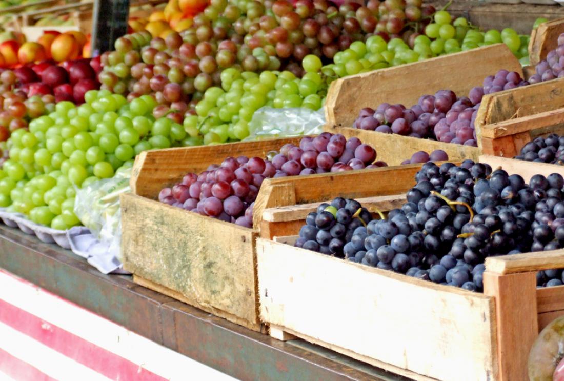 Sort grozdja je kar štiri tisoč. Foto: Luiz Giope/Shutterstock