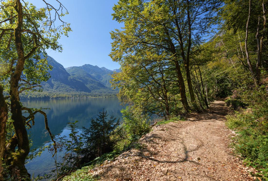 Pot okoli jezera lahko prehodite v dveh do treh urah. Foto: tetiana_u/Shutterstock